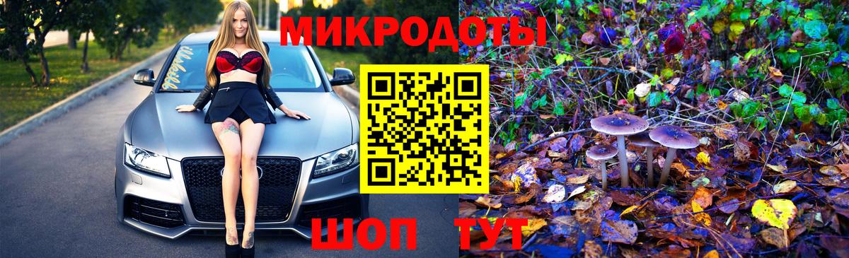 Галлюциногенные грибы Psilocybe  Вход с VPN  Горячий Ключ 
